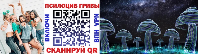 Галлюциногенные грибы Psilocybine cubensis  что такое наркотик  Мещовск 